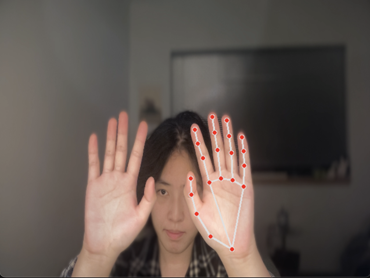 1 hand detection